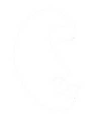 Psychothérapie pour adolescents adultes Annecy