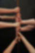 14889779_1244608978911215_133145665040055766_o.jpg