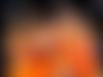 Searching for a Way In: The Lack of Accessibility to the WNBA