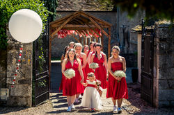 Giant Balloons & Pom Tails