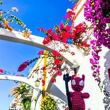 WhatsApp Image 2025-11-25 at 10.48_edited.jpg