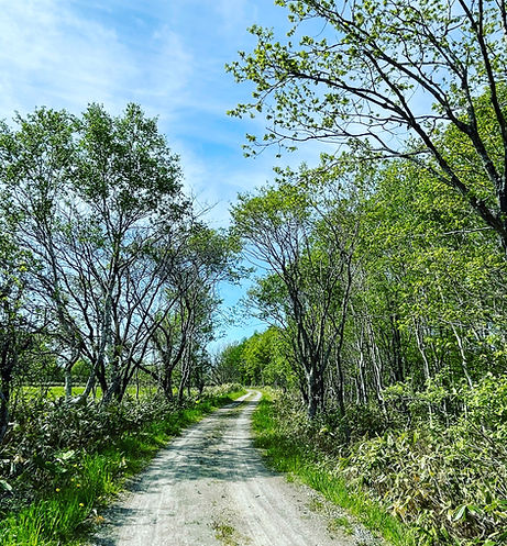 北海道で現代レイキ法が学べるしあわせ工房森の天使です。