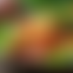 Najlepsze diety na odchudzanie w 2026 roku