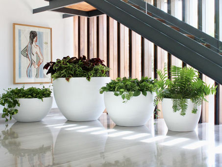 Macetas grandes para exterior