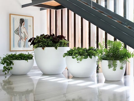 Macetas grandes de fibra de vidrio blancas de Deconcepto con plantas, decorando un interior moderno.