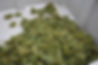 Chardonnay Grapes