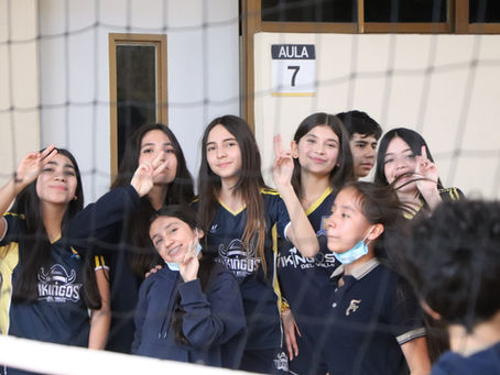 Seguridad y Acompañamiento