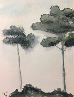 Aquarelle sur papier #