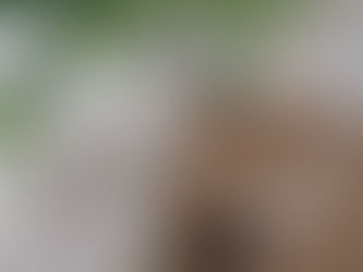 Printable gift tags Handmade with Love and Yarn