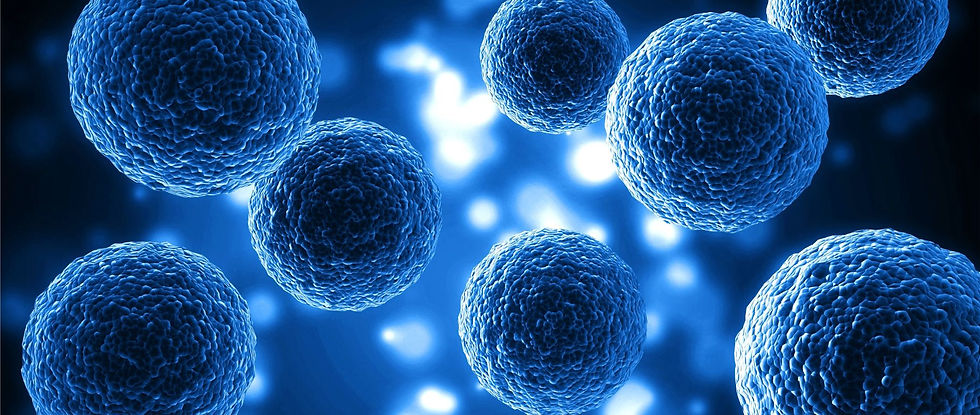 KURE-Wix home page.jpg