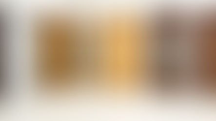 Residential door display