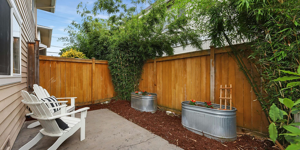 Beauty of a fence