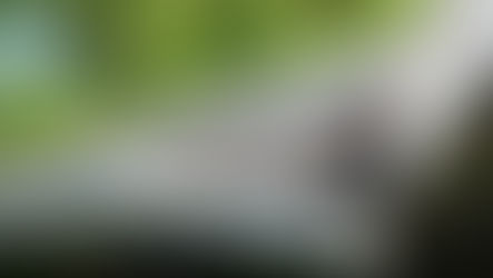 A broken roof with the gutter falling apart