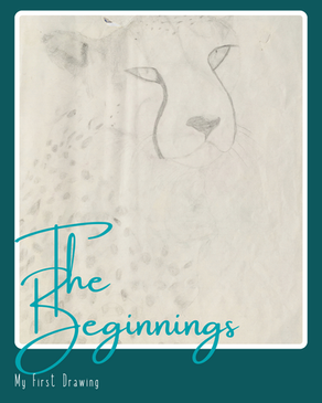 The Beginnings
