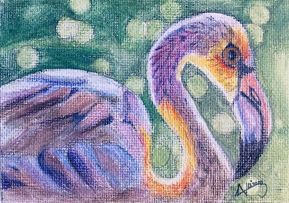 Flamingo in coloured pencil
