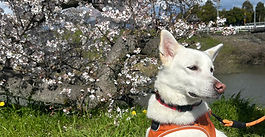 暑い夏が始まる前に・・・