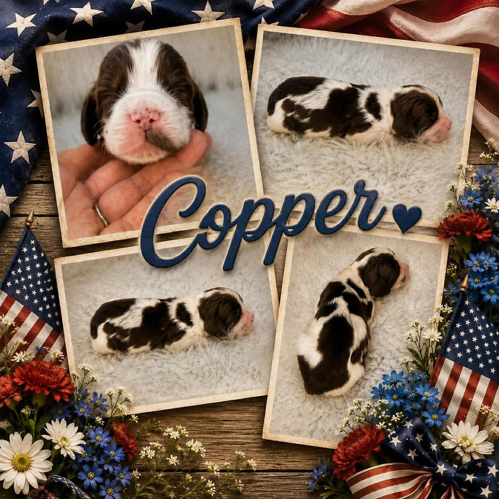 Copper