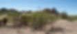 AJO DCMM-12.jpg