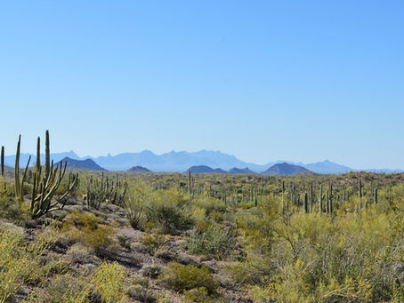 Ajo’s Scenic Loop: A Desert Drive Worth Discovering