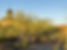 SDICC EXTERIOR EVENING small-29.jpg