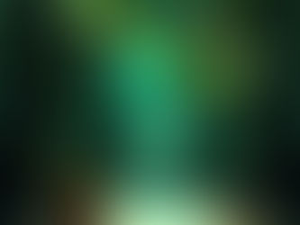 Promoting Sustainability in Printing: The Impact of the Printful and myHerb Partnership