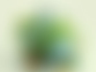 Top Sustainability Trends Shaping Our Future in 2025 from AI to Green Hydrogen