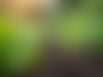 Embrace Sustainable Practices for a Greener Future: Your Guide to Green Living Practices