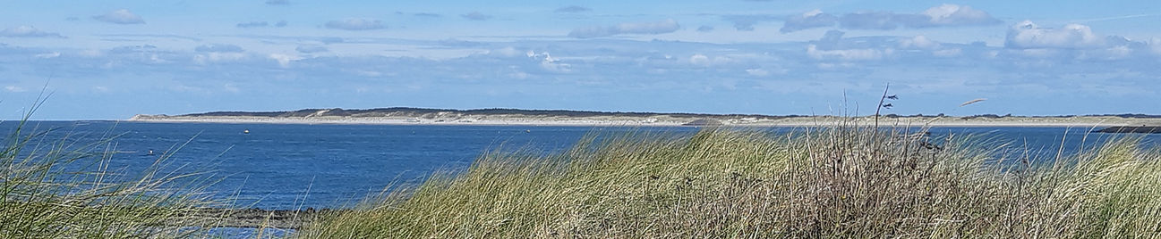 20200906_124248_resized.jpg