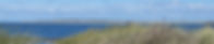 20200906_124248_resized.jpg