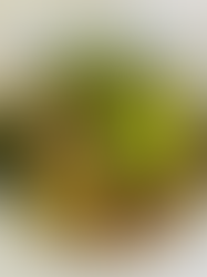 Ensalada de brócoli y farro