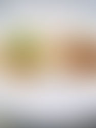 Tacos de puerco con salsa verde y roja