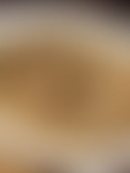 Escabeche de anulan botanero