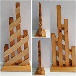 (242)-2023_06-pinus-0