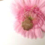 Miniature : bijou gravé