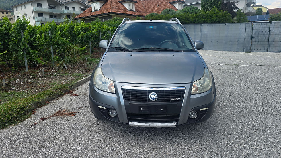 Miniaturbild: Fiat Sedici 1.9 Multijet 4x4 (2008) 