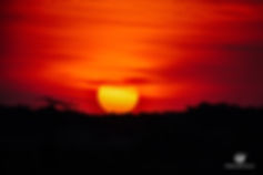 Extra_1213_sunset.jpeg