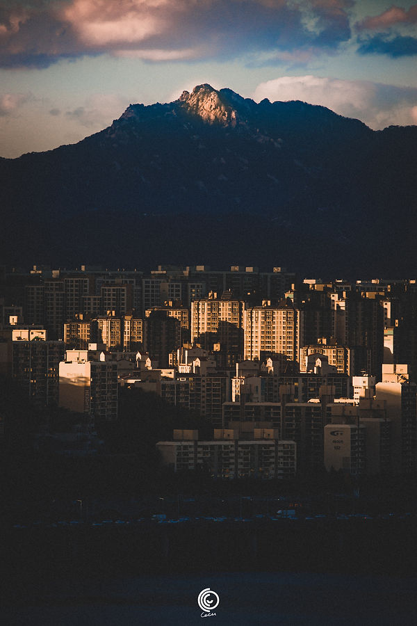 _CO1_4055_1.jpg