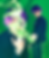 green swirl background