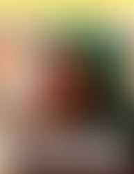 Newsletter de janvier