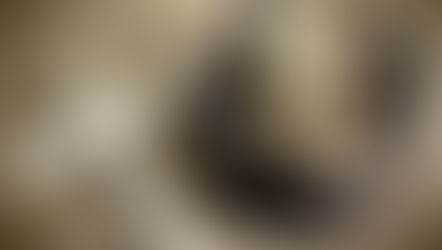 Lenten Suppers Begin Feb.18th