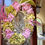 Thumbnail: 24 Inch Oval  Wreath