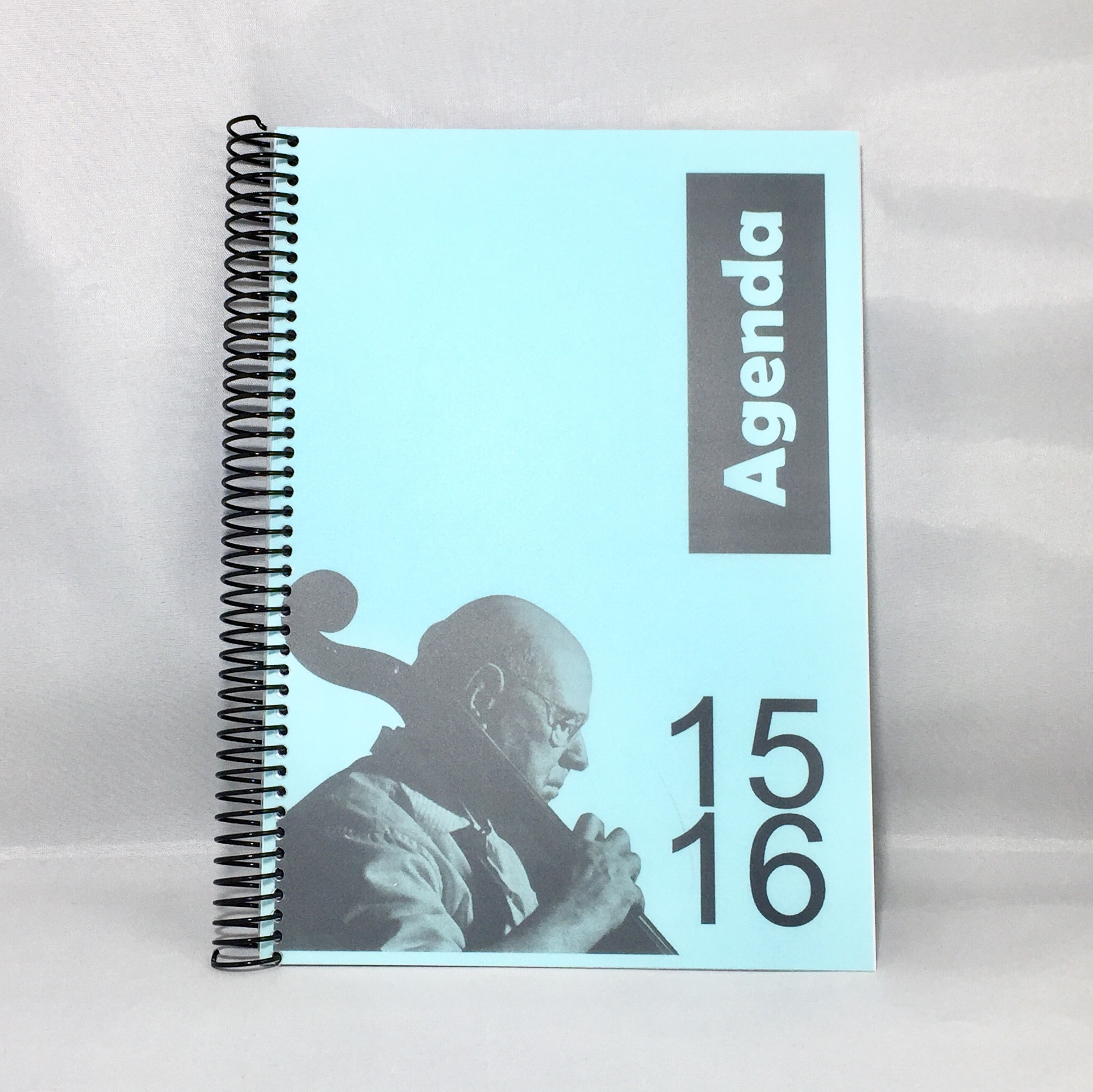 AGENDA NIN AZUL