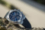 VC-Overseas-LHI-5.jpg