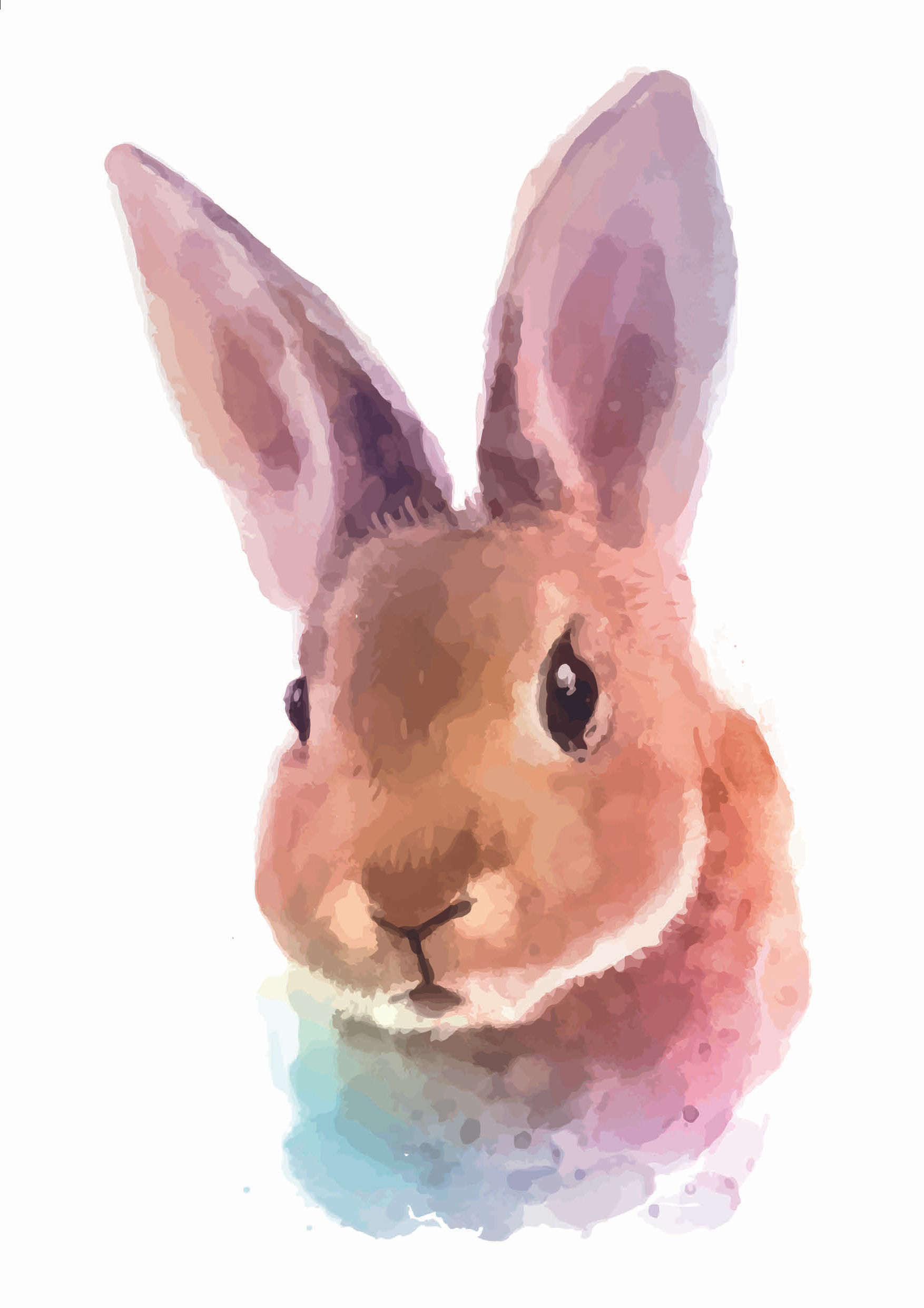 ‘Rabbit Watercolour’