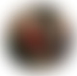 What Makes Dibber Nurseries Different and Awesome