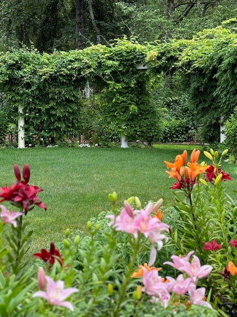 July 17 dahlia with wedding venue arbors