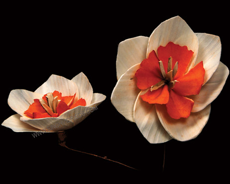 Sola Beauty Touch Flower on Wire