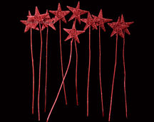 Indian Natural Dried
Indian Natural Dried Exporter
Natural Dry Flower
Bulk Dried Wholesale
Dried Flower Arrangements