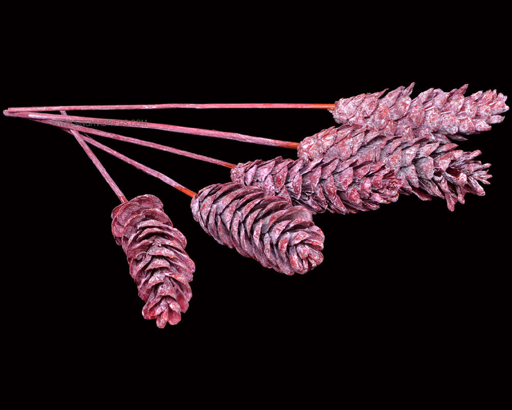 Strobus Mix White Wash Red on Bamboo Stem