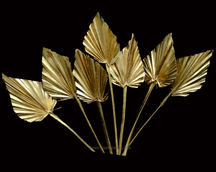 Indian Natural Dried
Indian Natural Dried Exporter
Natural Dry Flower
Bulk Dried Wholesale
Dried Flower Arrangements